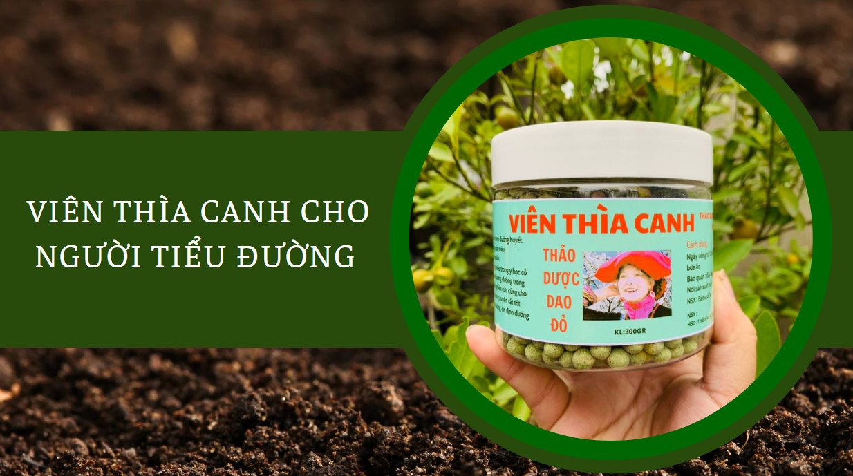 dây thì canh điều trị tiểu đường